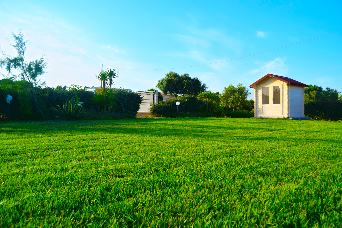 Mi Casa Es Tu Casa B&B Cuarto Azul 4